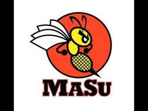 Mansen Sulan Tähtikisat 7.-8.1. 2017, Ylöjärvi