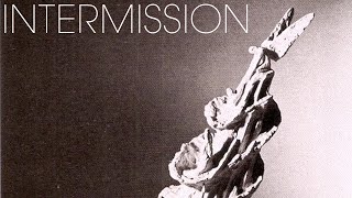 No Brain Cell - Intermission