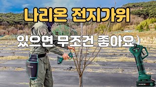 나리온 전지가위 이렇게 편한 가성비 전동가위라니 대박 ✂️