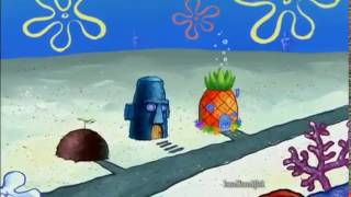 gentle rhythm of the sea