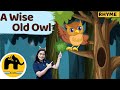 A Wise Old Owl | Nursery Rhyme | LearnoHub Kids