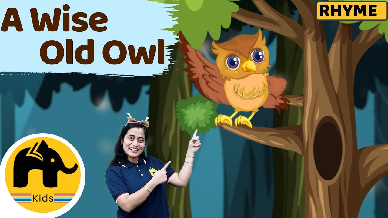 A Wise Old Owl | Nursery Rhyme | LearnoHub Kids