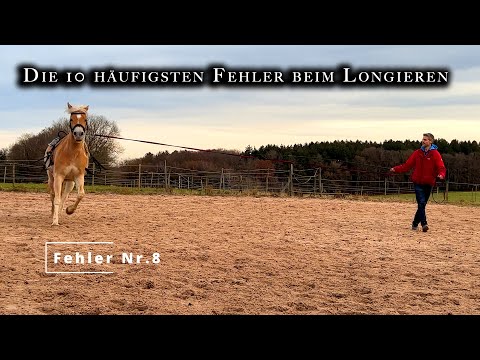 10 häufigste Fehler beim Longieren | 🐴