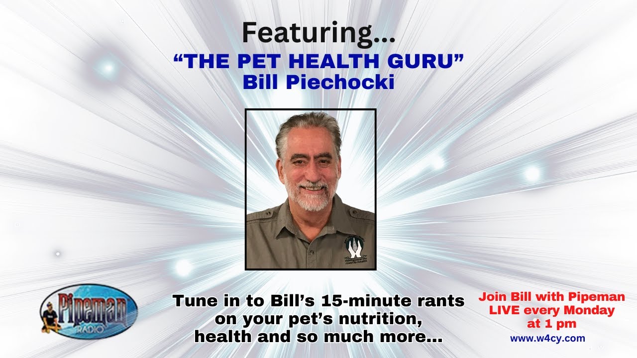 Rescue Pet Challenges and Risk Reversal Powerful Business Strategies