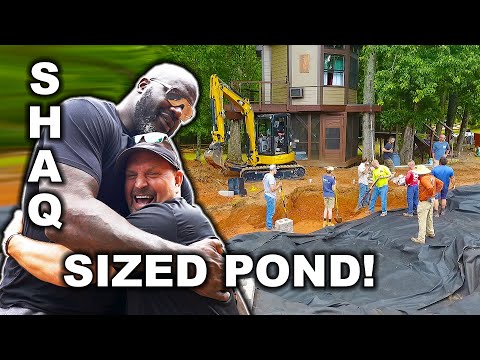 A SHAQ Sized Aquascape *POND* - Part 2