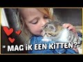 LOGEREN BiJ DE BOER ?( met jonge kittens!) | Bellinga Familie Vloggers #1386