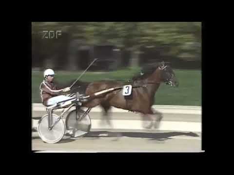 1989 Deutsches Traber-Derby Finale