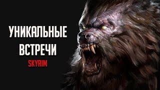 Skyrim РЕДКИЕ И УНИКАЛЬНЫЕ ВСТРЕЧИ