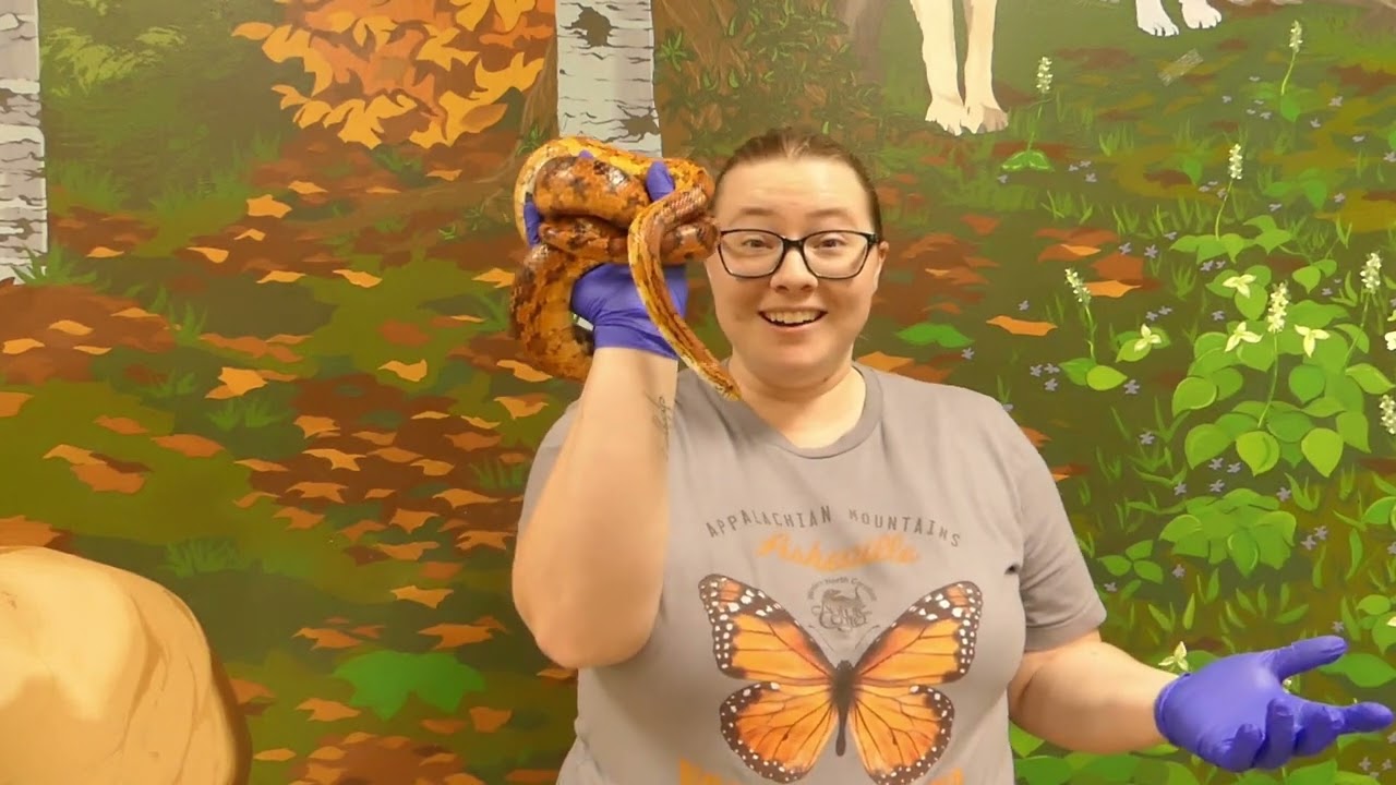 February 2023 Cubs and Kits video