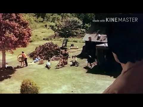 Satte pe satta comedy video