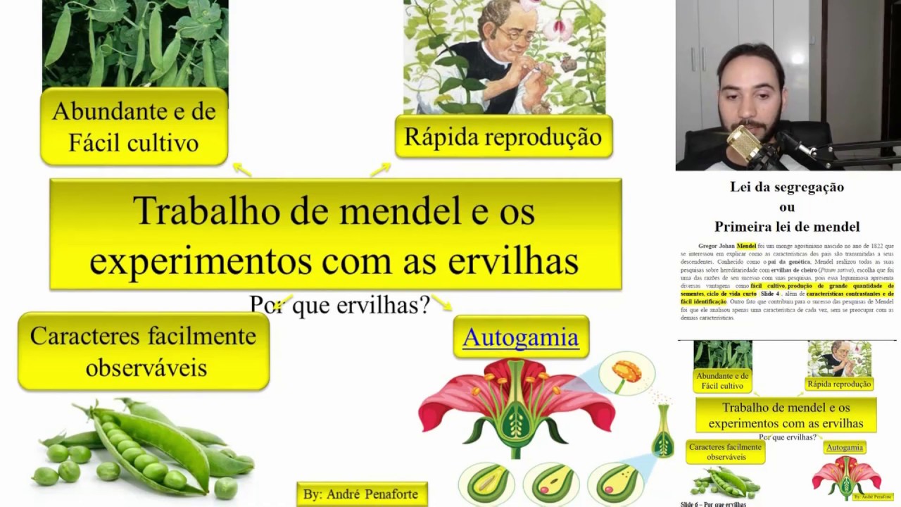 01 -  Genética -  Primeira lei de Mendel -  Por que ervilhas