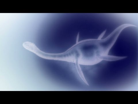 England's Sea Monster, Singing Whales, Gremlins