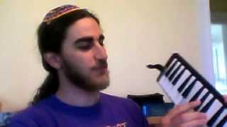 Video thumbnail for brand new Hohner Performer 37 melodica with buzzing notes by gidklio
