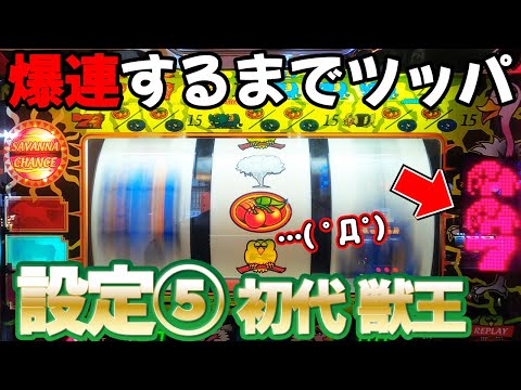 獣王の動画