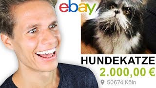 EBAY KLEINANZEIGEN FAILS
