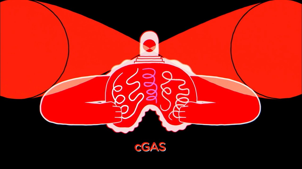 cGAS: Sounding the alarm on self and foreign DNA - YouTube