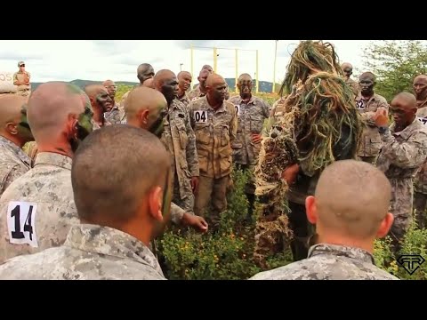 Motivação - Tente Outra Vez (CIOSAC/PMPE)