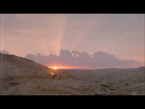 Pettra - Desert Set 2019