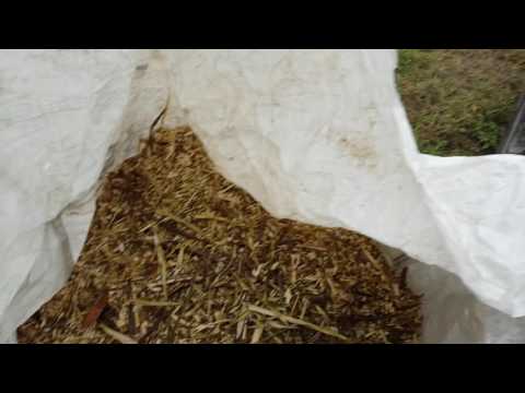 PERMAKULTUR im Weinberg: Böschungspflege - Winzerhof Linder in Endingen