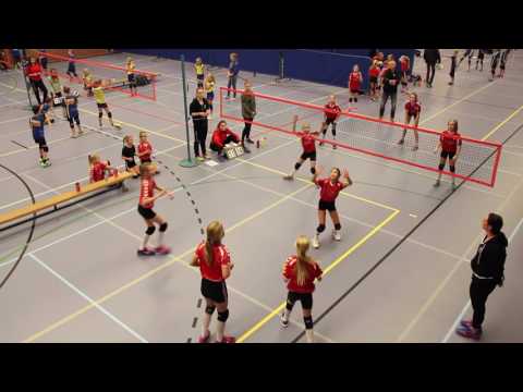 Flash Nieuwleusen mini rood kampioen 2016 niveau 5