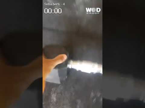 Evento 4 Sofia Berti "Las Buena Bichi" West Wod 2021