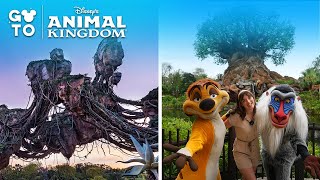Disney’s Animal Kingdom | Go To Walt Disney World Resort Holiday Planning Series | Disney UK