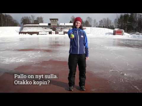 Napapesiksen kannustajakortti - näin voit tukea toimintaamme!