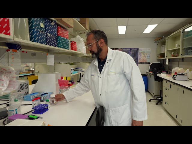 Mohammad-Ali Jenabian, nouveau Membre du Collège de nouveaux chercheurs et créateurs en arts et en science de la Société royale du Canada