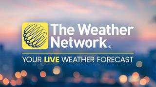 Watch The Weather Network Live: Stay updated on national weather stories and loc