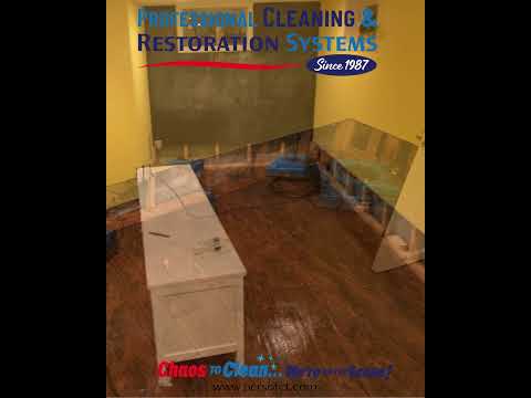 Wet Basement Playroom? Flood Cut & Structural Drying Explained in Riverside, CT