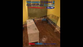 Watch video: Wet Basement Playroom? Flood Cut & Structural Drying Explained in Riverside, CT