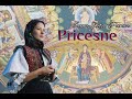 3 Pricesne Inchinate Maicii Domnului 2025 Ioana Stetco Poenar
