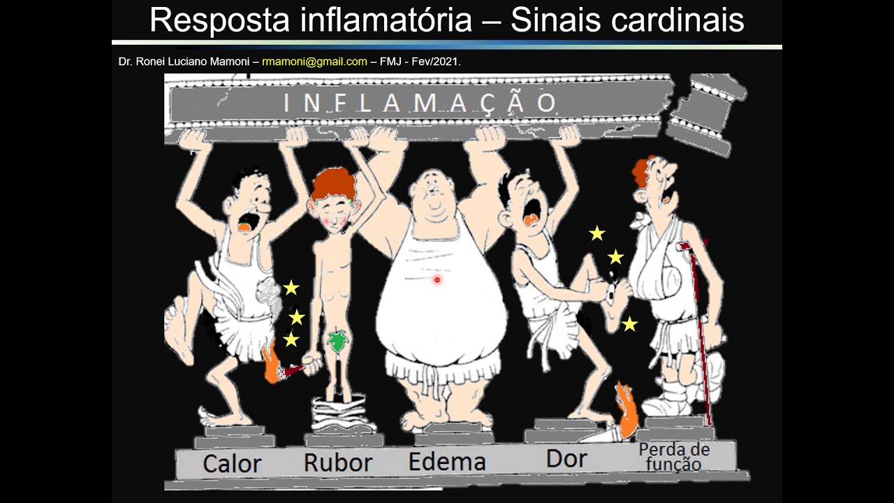 Aula Inflamação e Migração Celular - Parte A