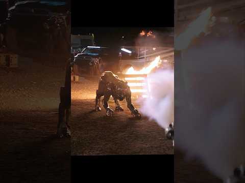 A.X.L. – Intense Standoff: Robot Dog vs Thieves!