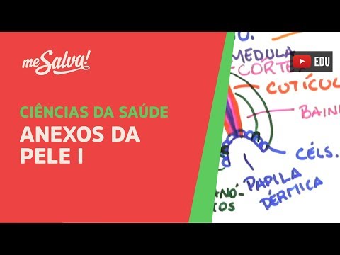 Me Salva! GEP04 - Anexos da Pele I - Histologia Humana