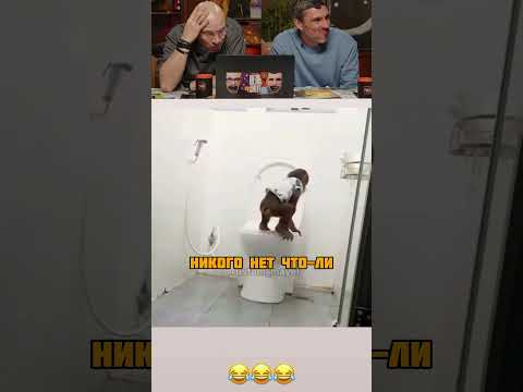 ЗАСМЕЯЛСЯ - ПОДПИСАЛСЯ😂! ЧАСТЬ 60