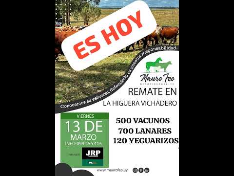 13/3/2026 Local La Higuera - Vichadero - Rivera - Feria Mensual - Mauro Feo | Clic Rural