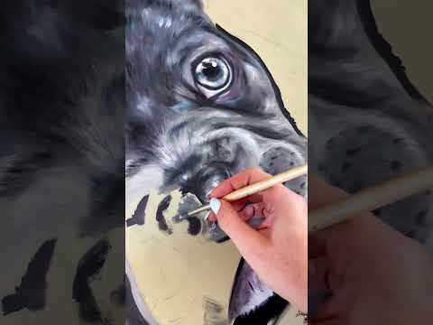 Video 1