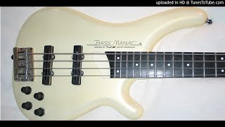 Kim Wilde bass cover - The Second Time - Just go for it