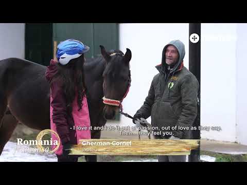 Beautiful Romania. The stud farm from Rădăuți.