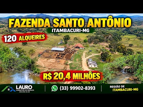 FAZENDA SANTO ANTÔNIO | 120 ALQUEIRES POR R$ 20,4 MILHÕES EM ITAMBACURI-MG