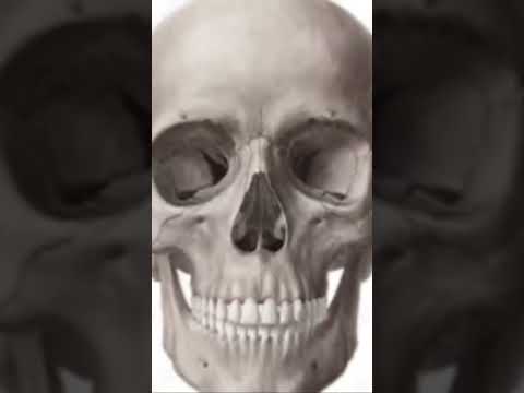 My name is Gustavo, but you can call me Gus