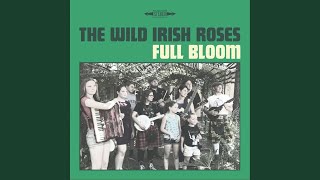 All Tomorrow's Parties