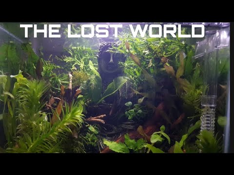 THE LOST WORLD !!! # my version