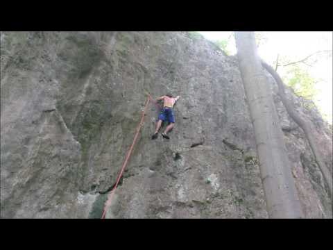 Skokan zelený 9-/9 (Moravský kras, Holštejn, V Buči)