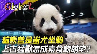 【Global】戰神變軟萌宅?蚩尤坐騎貓熊! 上古猛獸怎成素食主義者@全球大視野