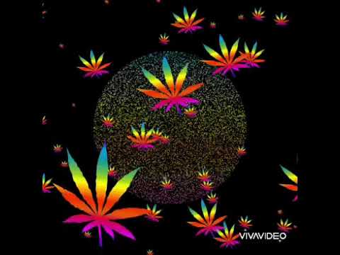 pararappappa - mr.paglia