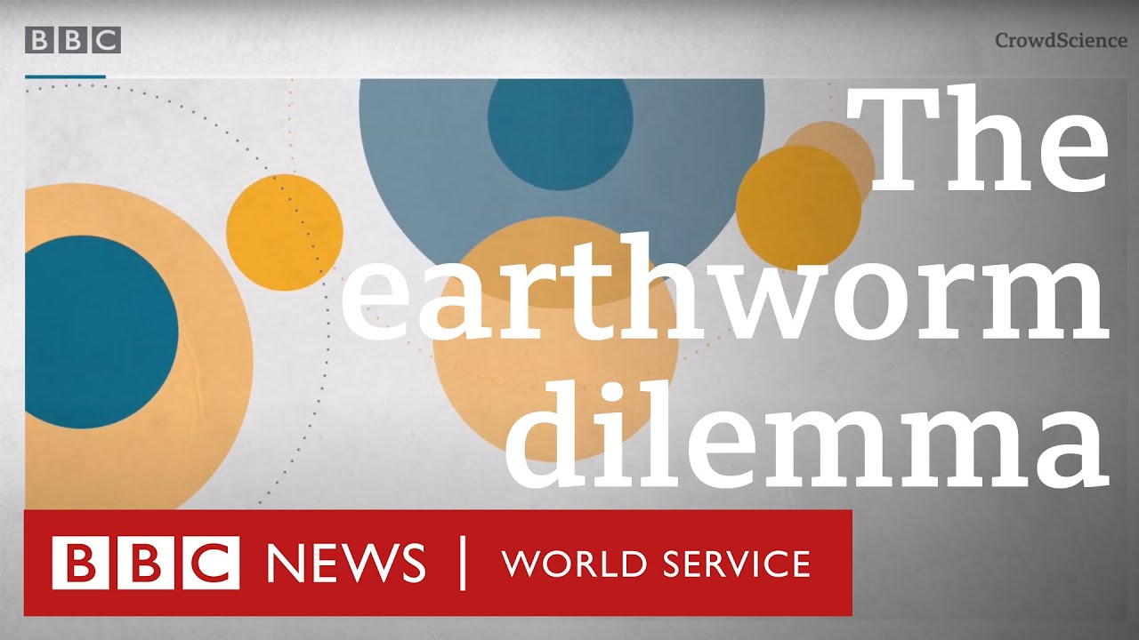 Could earthworms help transform the future of organic farming? - BBC World Service, CrowdScience