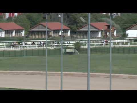 2017.08.27. 2. futam - NYERETLENEK VERSENYE (V.kat.) I. rész (szintetikus pálya)