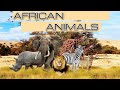 AFRICAN ANIMALS KIDS ENGLISH VOCABULARY